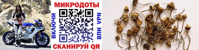 гидра ссылки  Орехово-Зуево  Галлюциногенные грибы мухоморы 